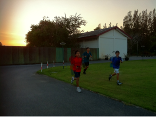 image-20101228131950.png