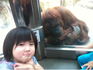 image-20120822214744.png